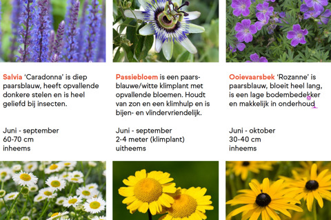 Kies de juiste planten